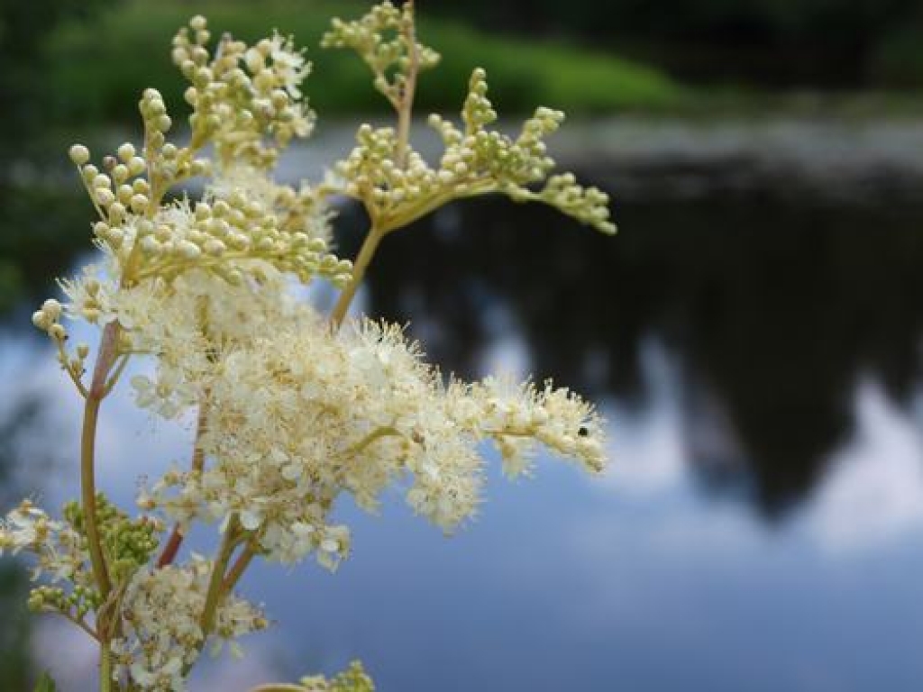 Gaisa temperatūra nedēļas vidū var paaugstināties līdz +33 grādiem