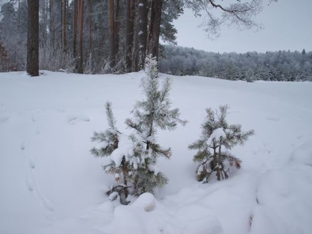 Skrīveros gaisa temperatūra pazeminājusies līdz -23,9 grādiem