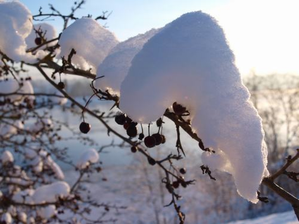 Šonedēļ valdīs sals, vienīgi piekrastē brīžiem iestāsies atkusnis