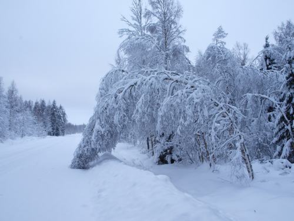 Latvijā 40 novados izsludina ārkārtas situāciju