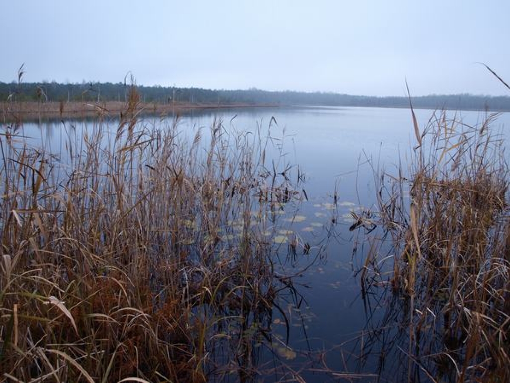 Sinoptiķi: novembris būs siltāks un lietaināks nekā parasti