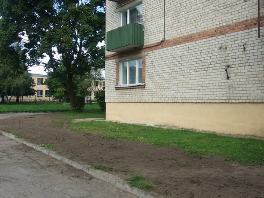 Krūmi bija slimi 