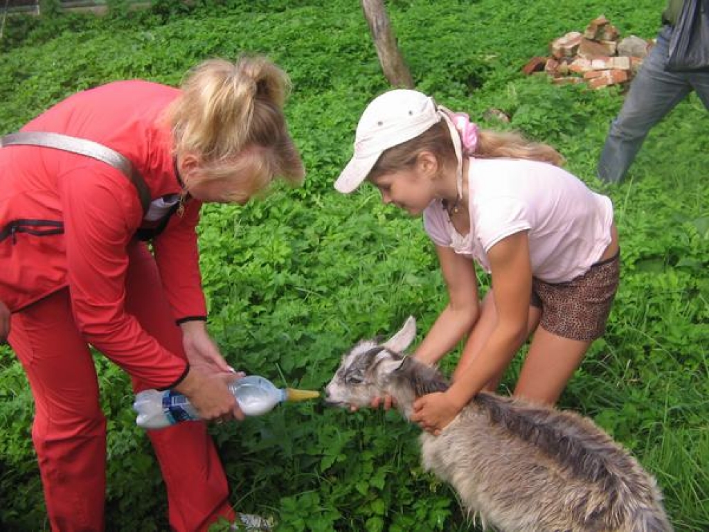 Laukos gluži kā zooloģiskajā dārzā