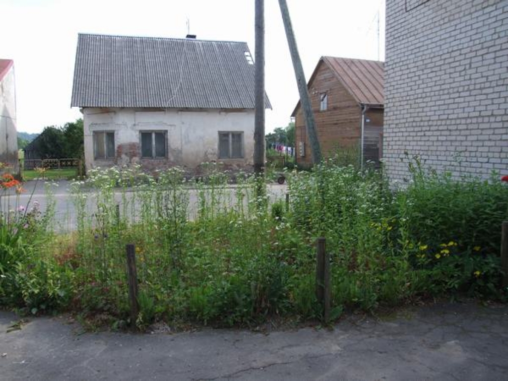 Pilsētas vizītkarte — nezāles