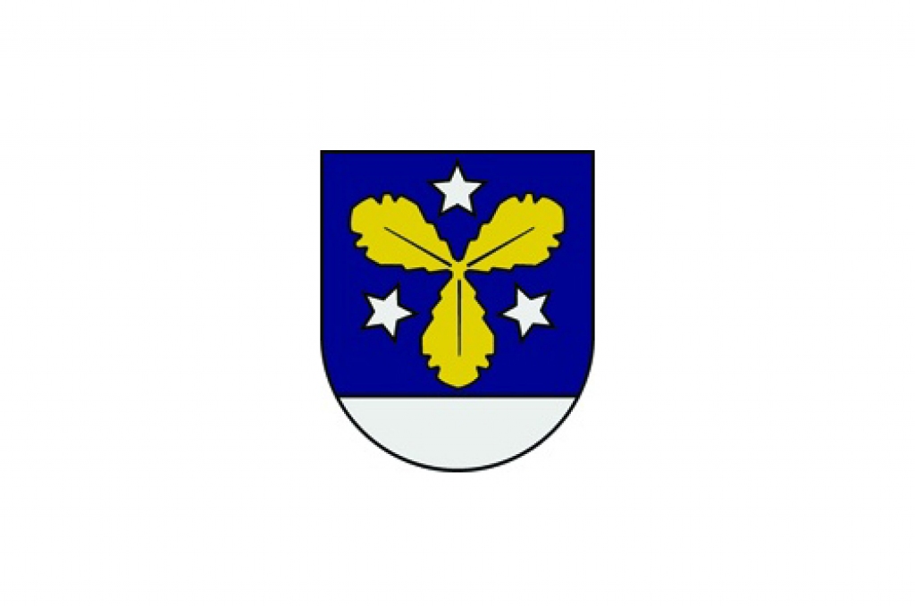Apstiprināts Aizkraukles novada pašvaldības 2010.gada budžets