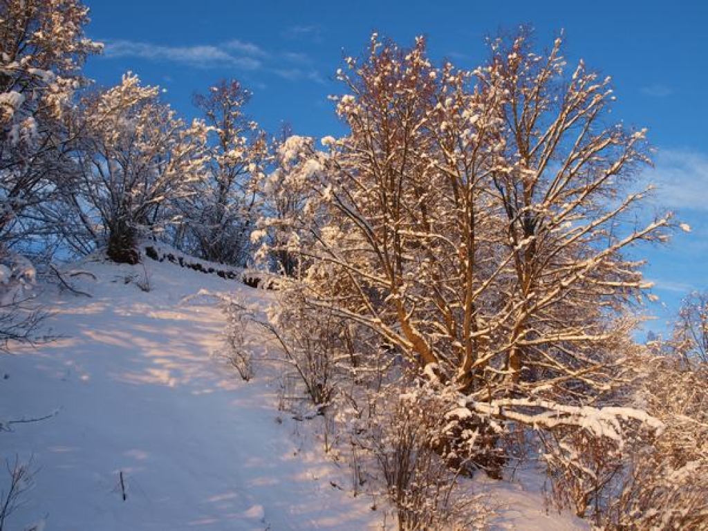 Aizvadīta šīs ziemas aukstākā nakts