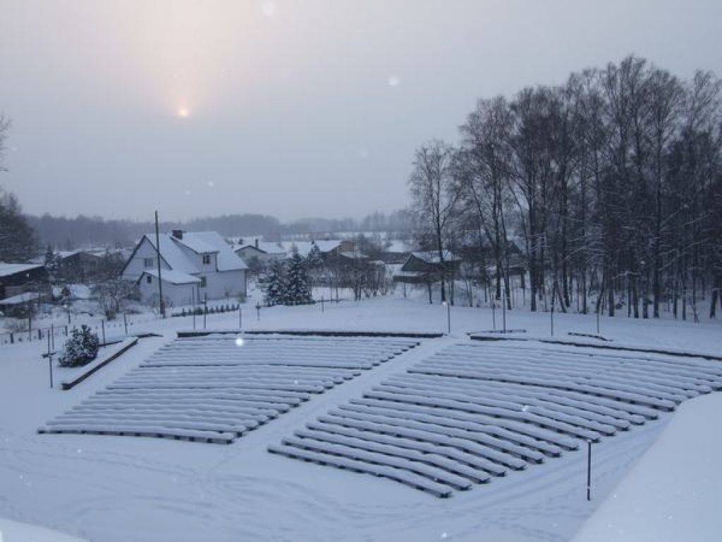 Iekāro Aizkraukles pagasta estrādes bērzus