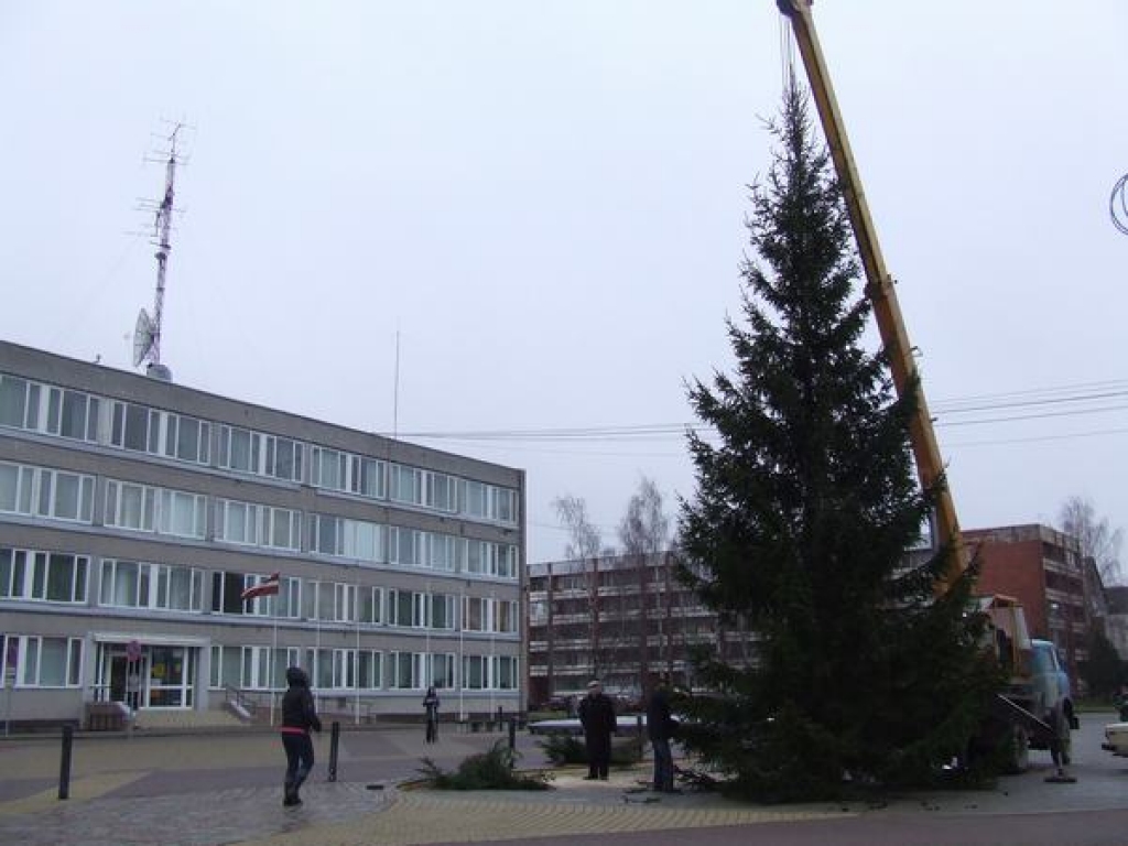 Uz Aizkraukli atved svētku egles