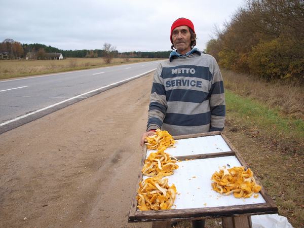 Gailenes joprojām aug!