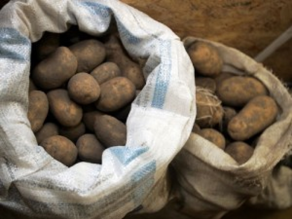 "Latfood" Skrīveru sociālās aprūpes centram ziedo tonnu kartupeļu