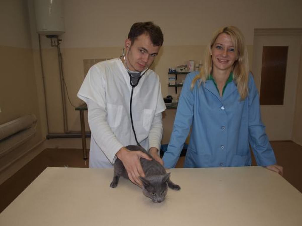 Aizkrauklē atvērta veterinārā ambulance