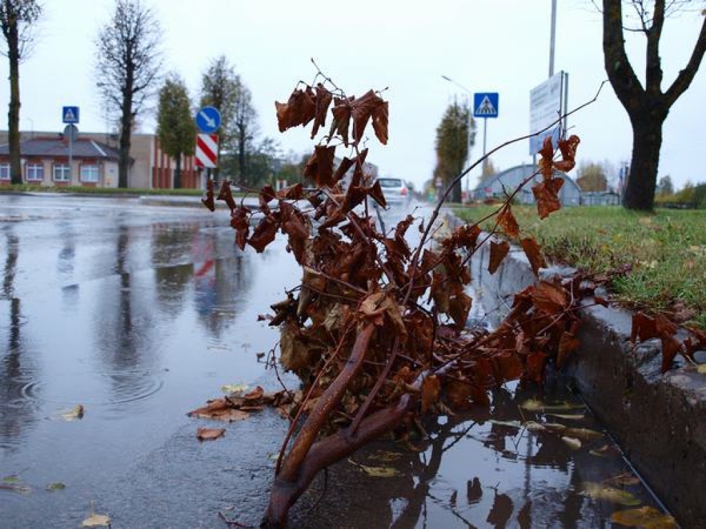 Aizkraukles reģionā būtisku postījumu nav