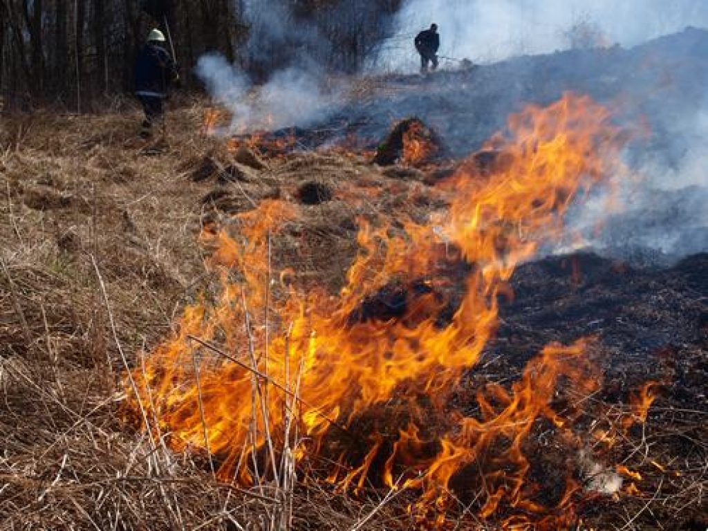 Daugavas senlejā izdeg vairāk nekā 10 hektāru