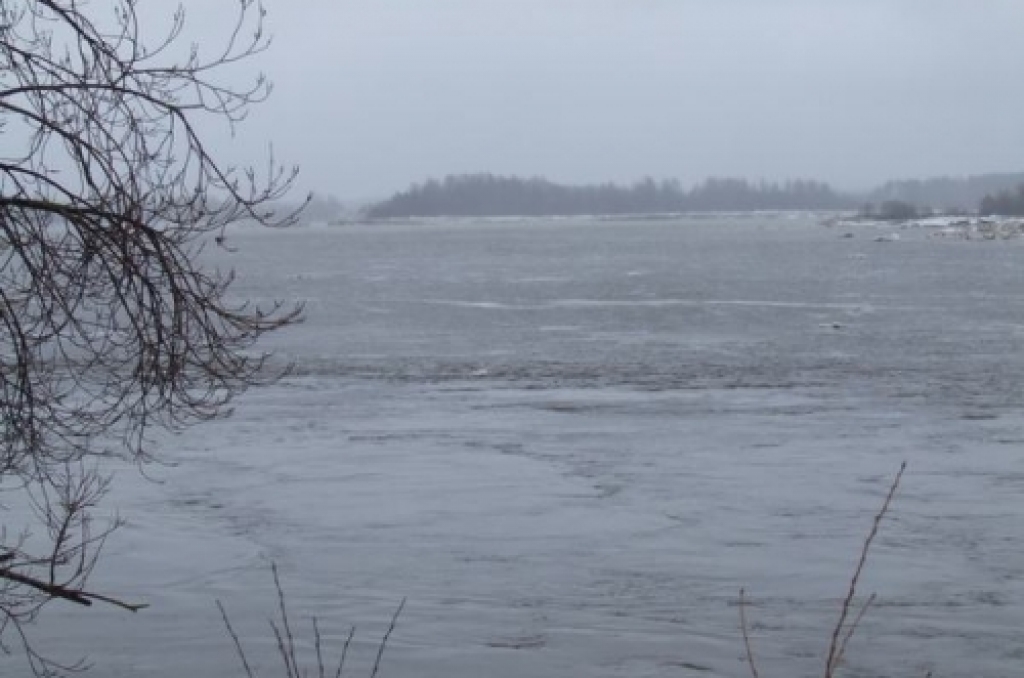 Daugavu novēros ar kamerām