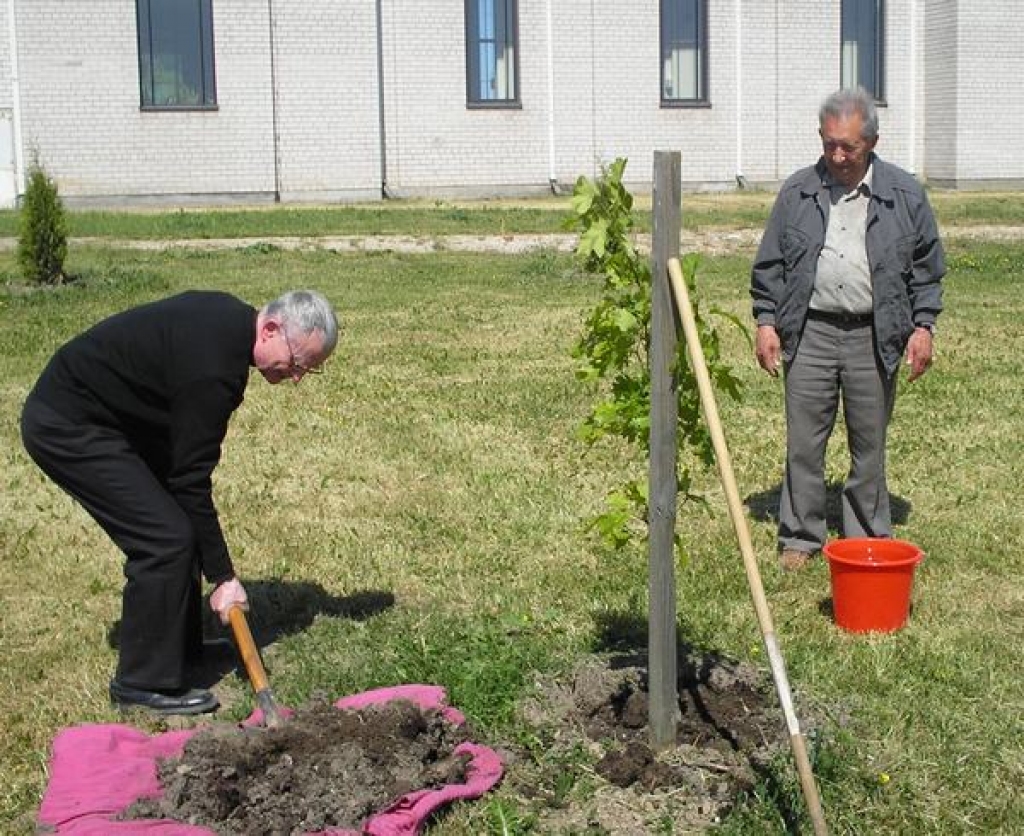 Kardināls Jānis Pujats iestāda ozoliņu 