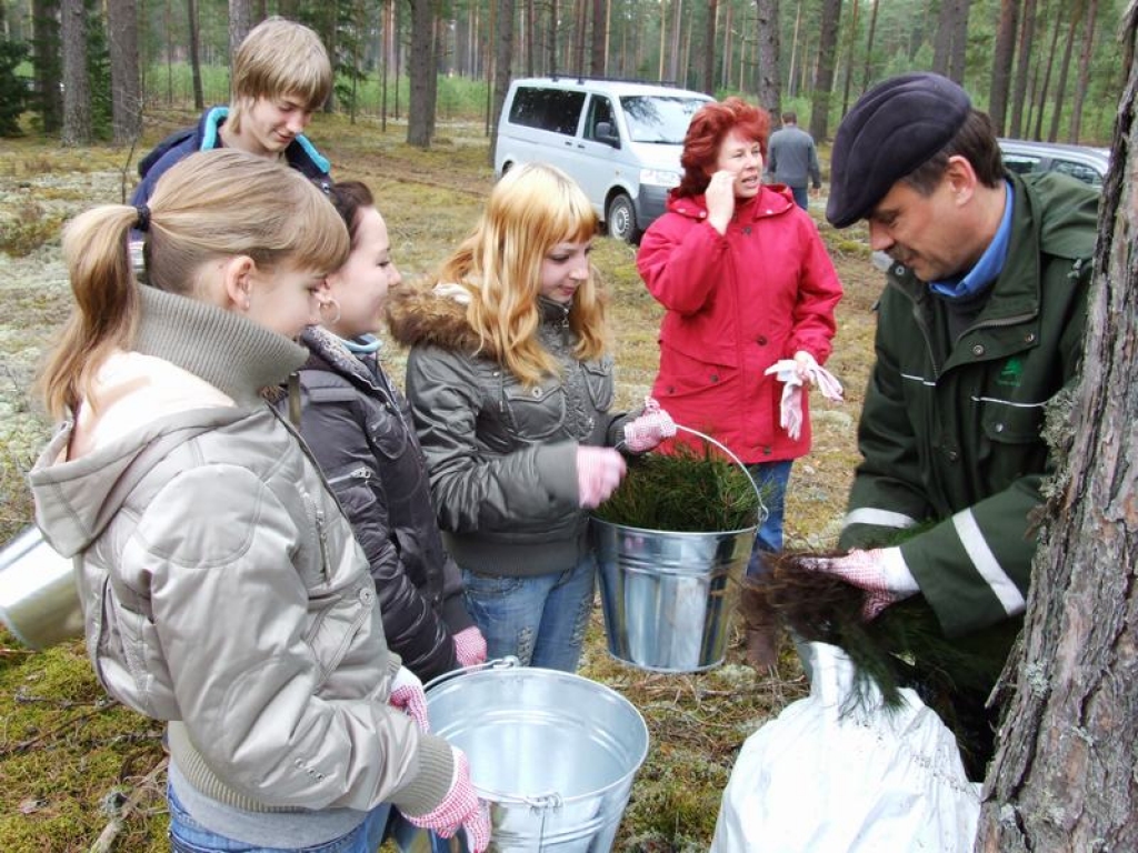 Jaunjelgavas skolēni stāda mežu