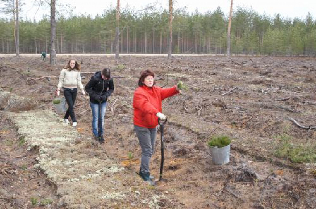 Jaunjelgavas vidusskolas skolēni stāda mežu