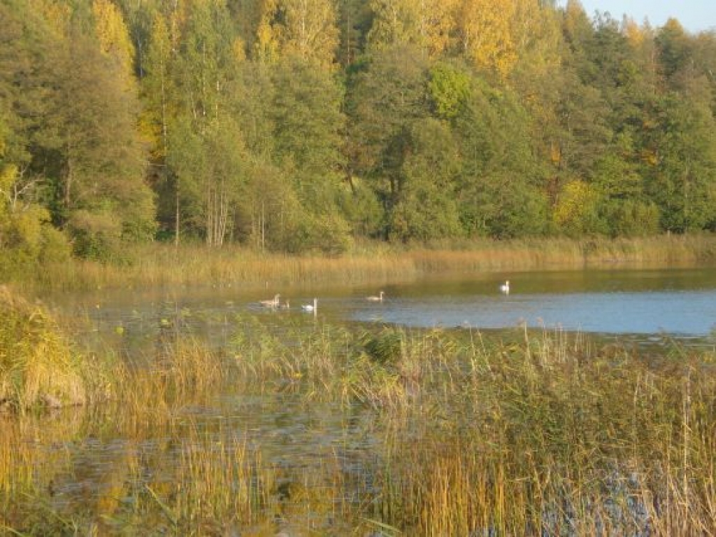 "Nāk rudens apleznot Latviju..."