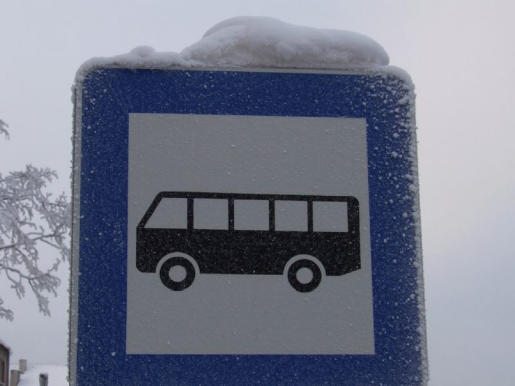 Vedīs "Liepājas autobusu parks"