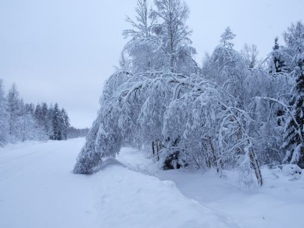 Brīdina par stipru sniegputeni naktī