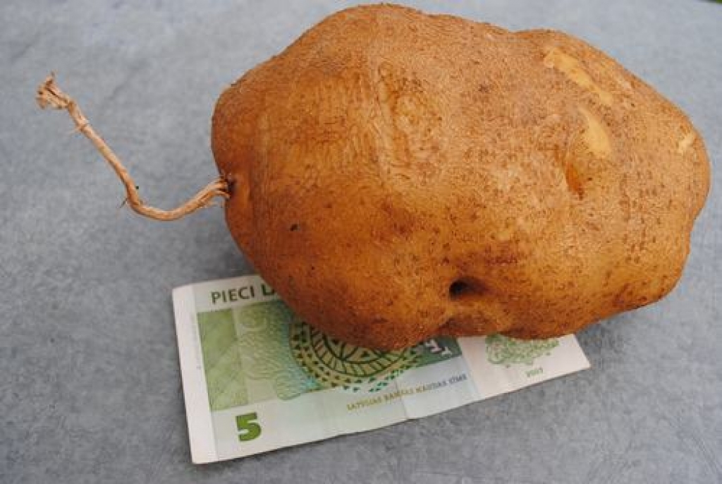 Kilogramu smags kartupelis