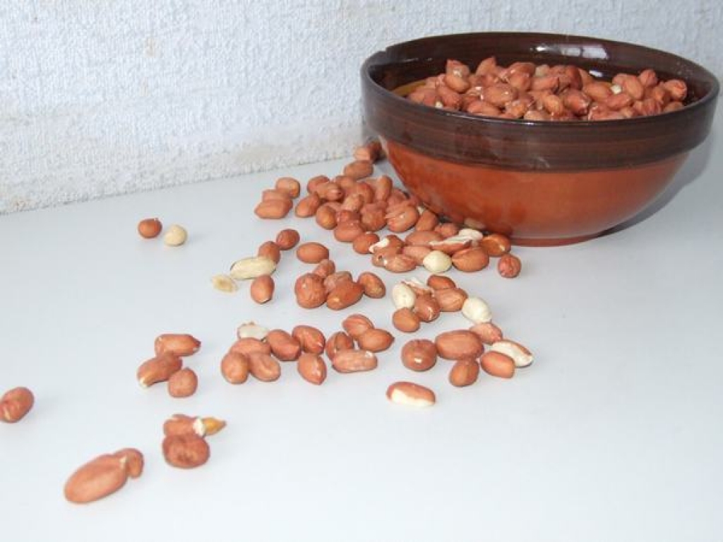 Riekstu garša un smaka atgādina dustu