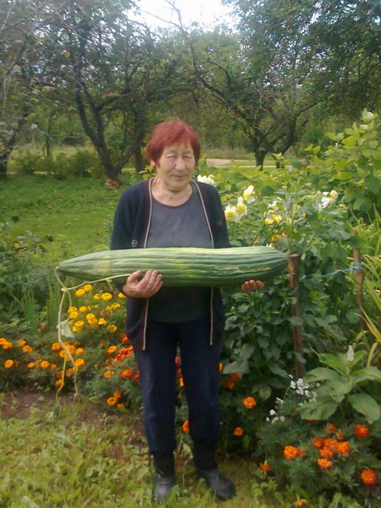 Lielākais bija paslēpies