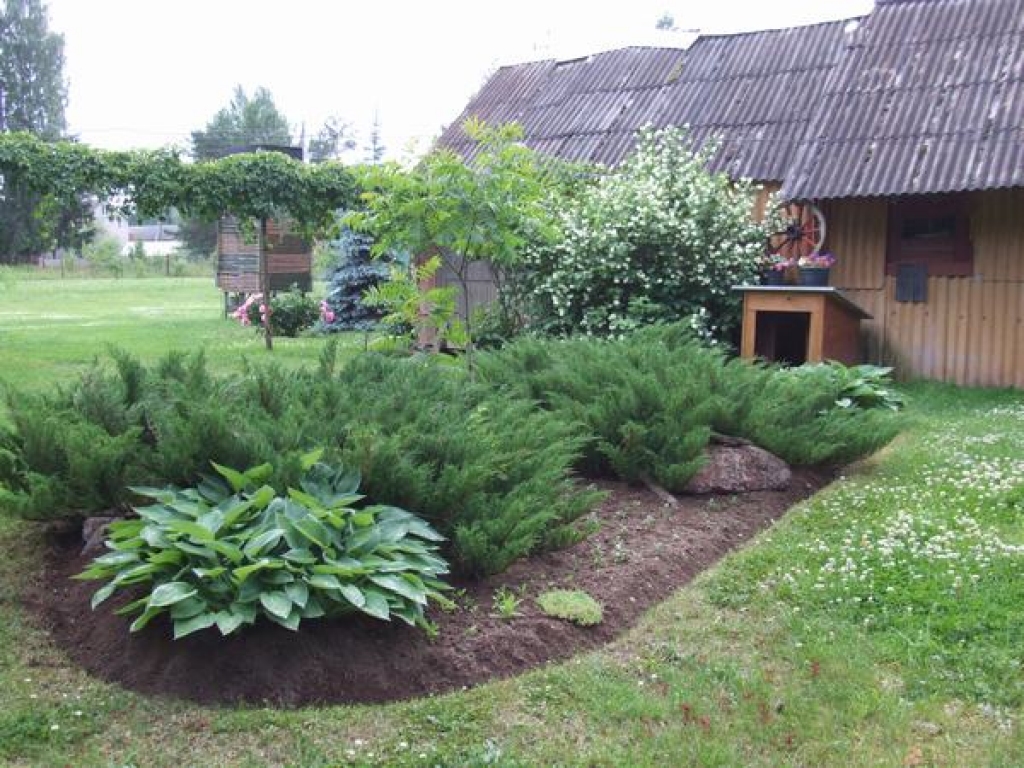 “Zilpuķu” mierā un klusumā