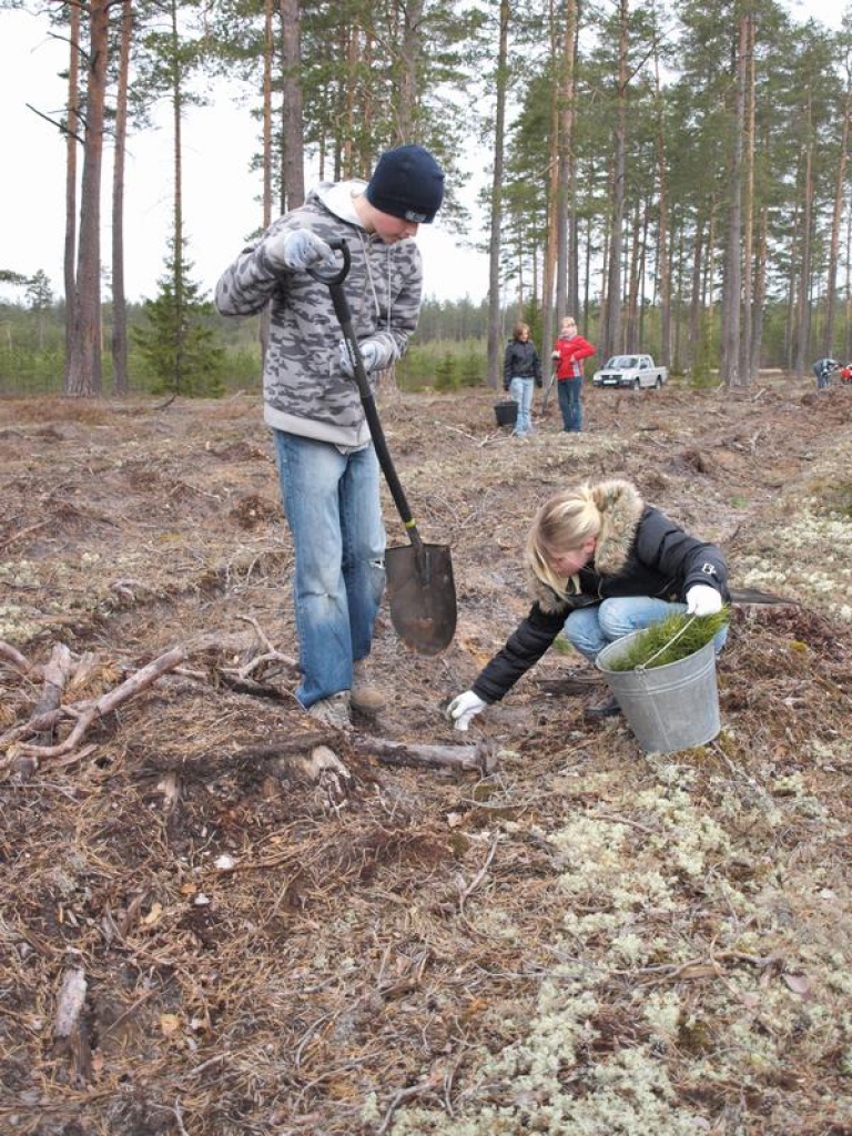 Skolēni stāda mežu