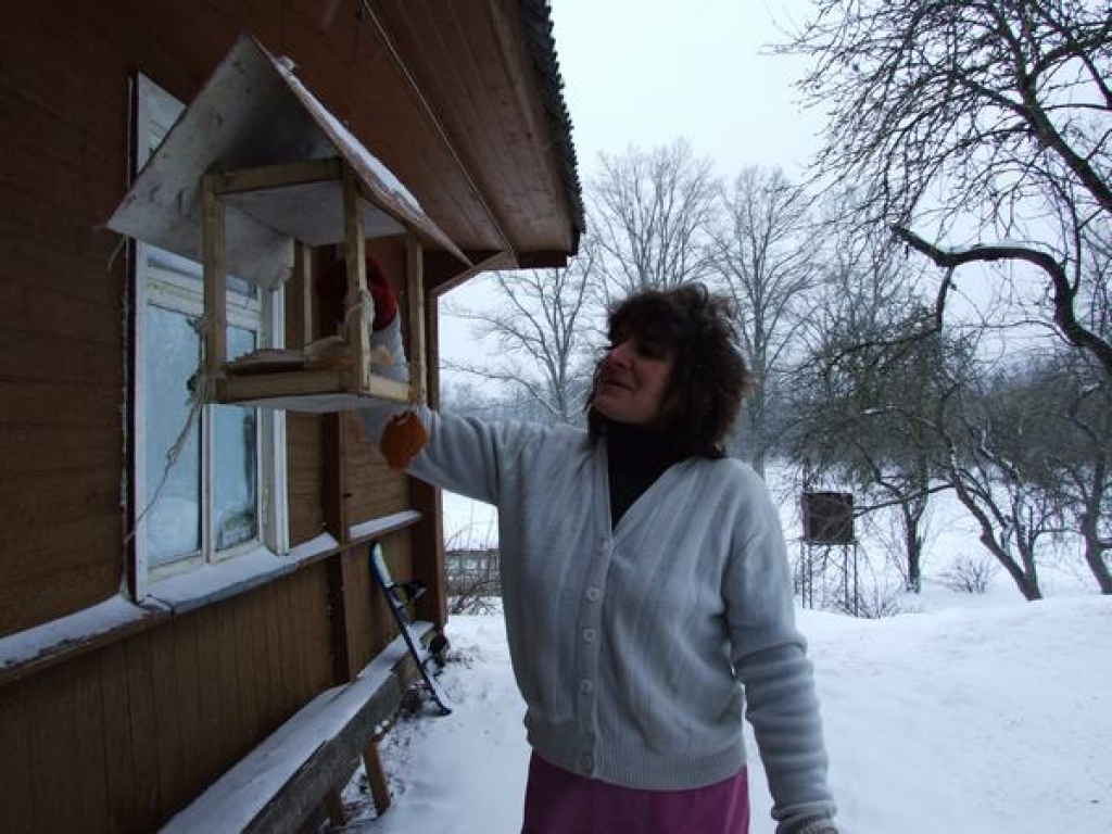 Zīlīšu kaujas