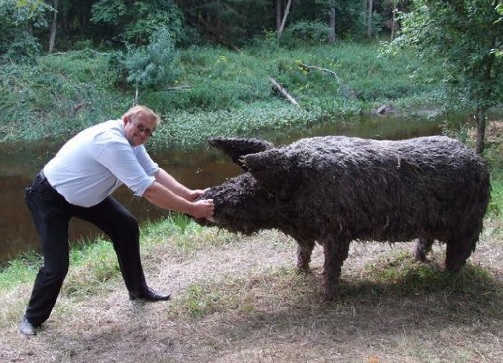 Pārmaiņu gads