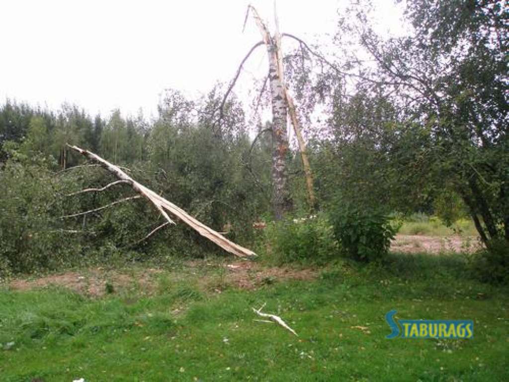 Koknesē iesper lodveida zibens