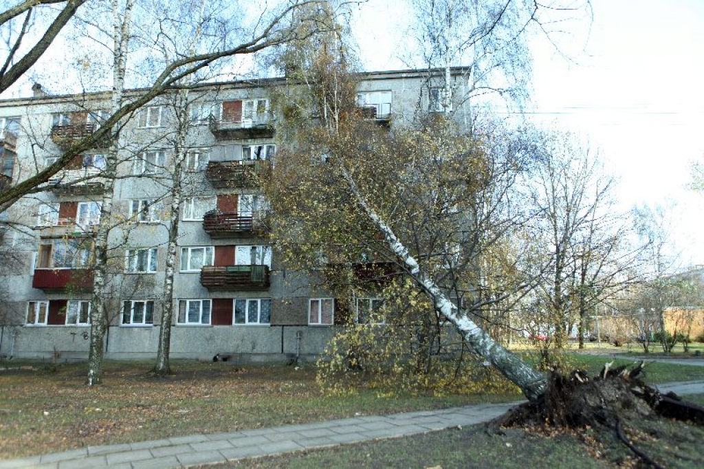 Latvijā tuvākajās dienās gaidāma vēl viena spēcīga vētra