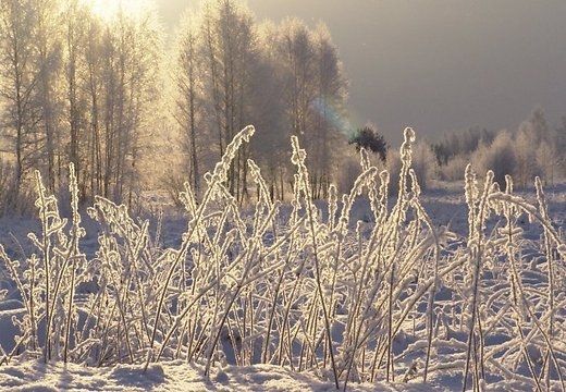 Piedzīvota vēsa nakts