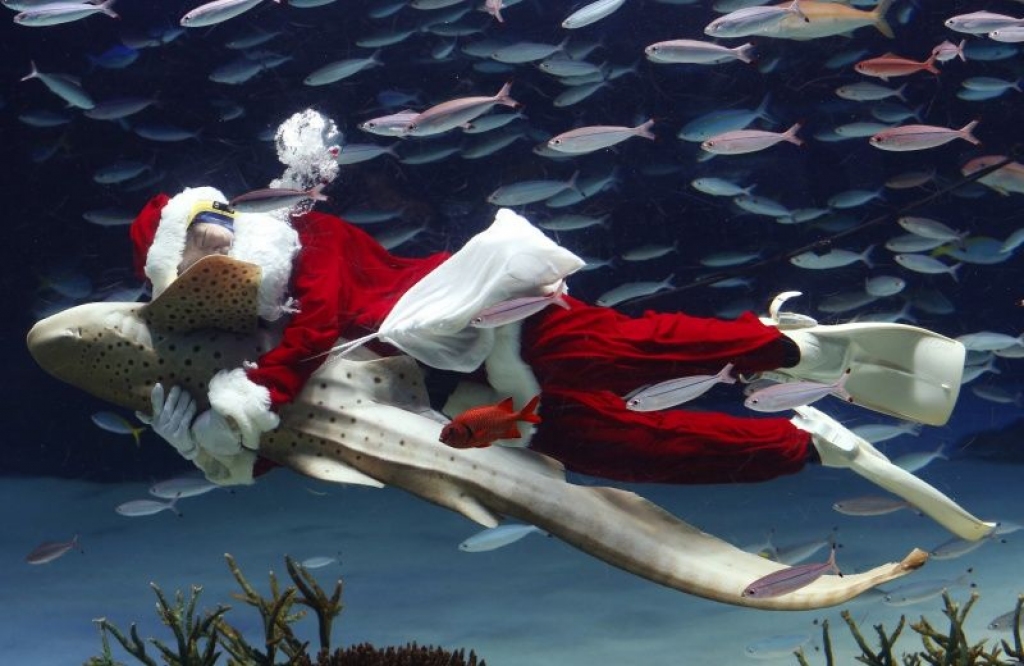 Fotonedēļa: 7. decembris - 13. decembris