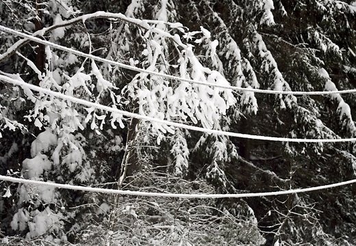 Sniegputenī Japānā 19 bojāgājušie