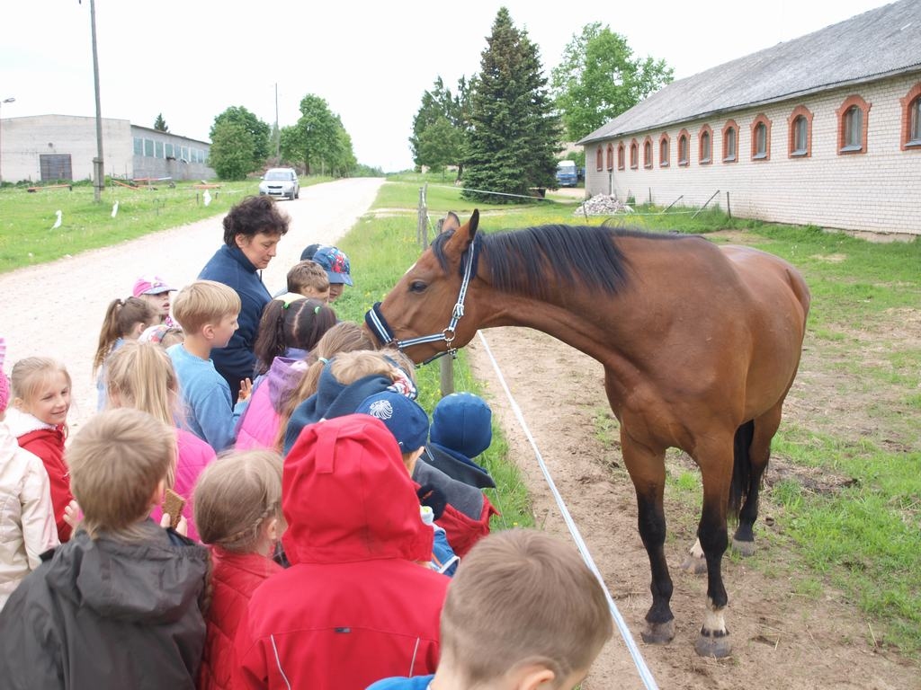 Iepazīst dažādus arodus 