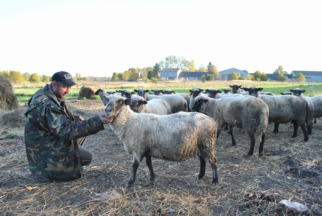Vilkiem sācies “skolas laiks”