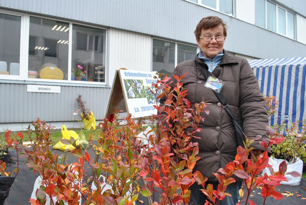 Krūmmelleņu ogas kā mazi āboli