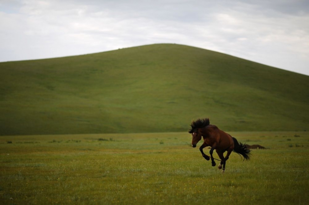 Mongolija dod zaļo gaismu dzelzceļa līnijai uz Krieviju