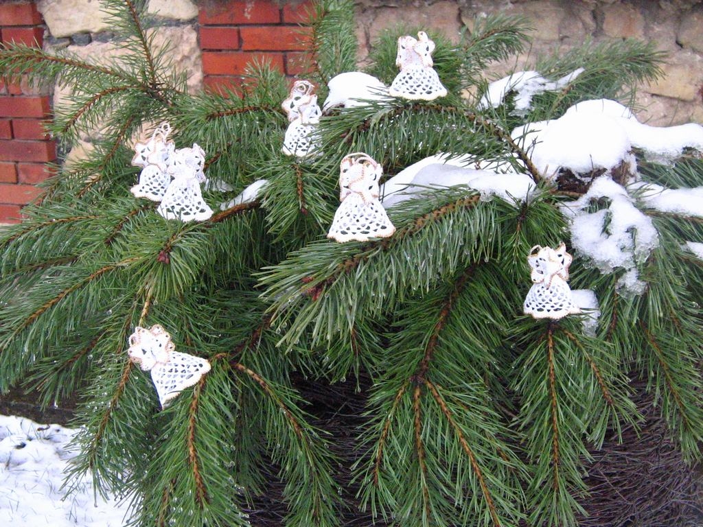 Priecīgus, sirsnīgus, miera pilnus Ziemassvētkus!