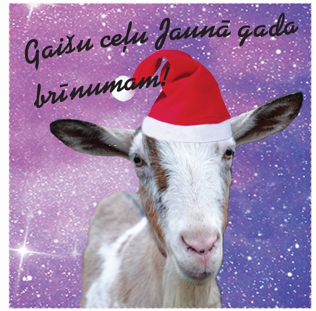 Laimīgu Jauno gadu! 