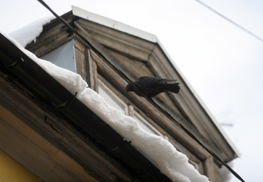 Sievietei no mājas jumta uzkrīt sniega blāķis