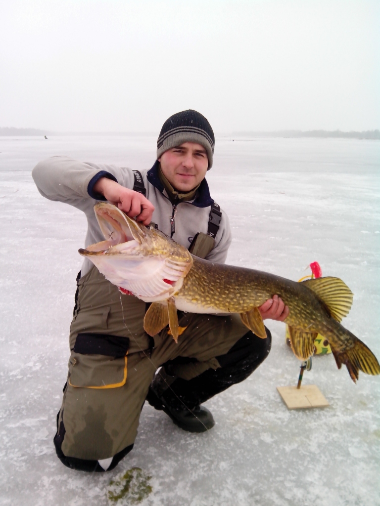 Līdaku pievilinātāji Orlovi