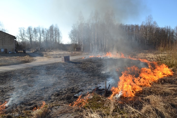 Sods par kūlas dedzināšanu ir bargs