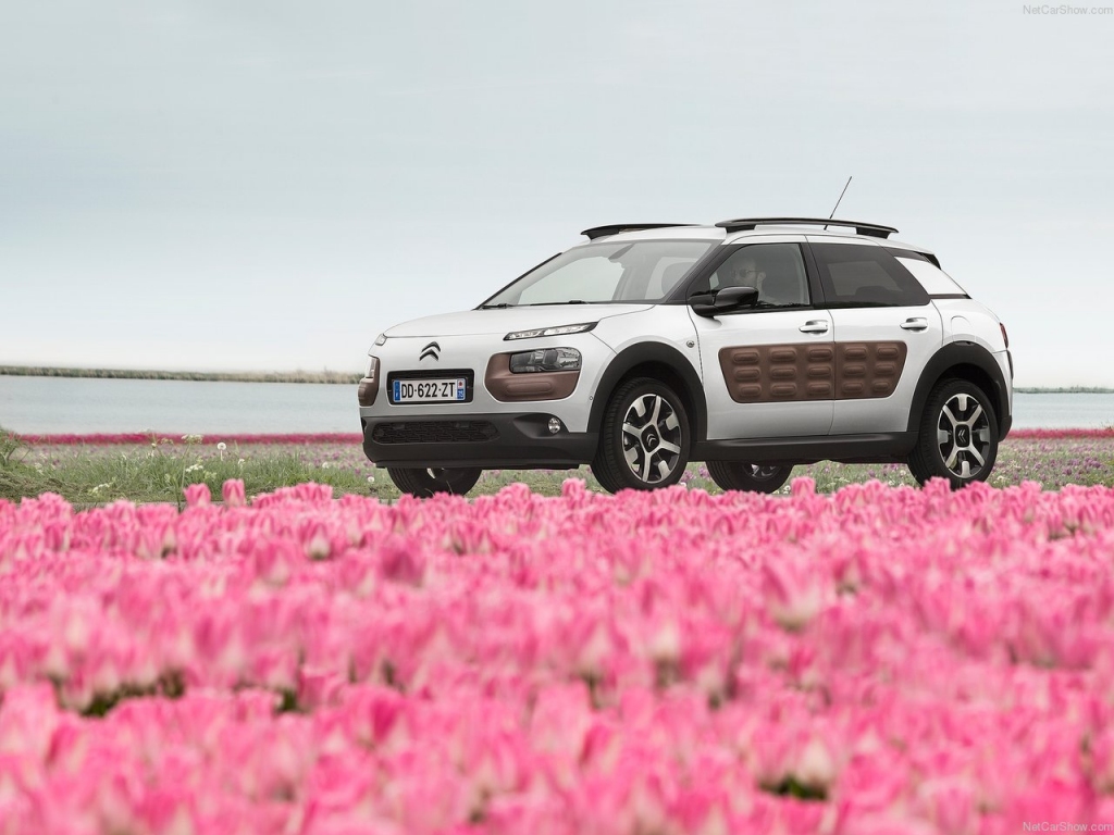 Citroën C4 Cactus: Jautrības un avangarda kokteilis