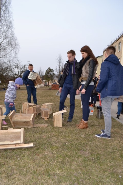 Graviņā putnus gaida jauni mājokļi 