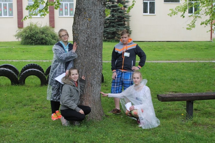 Mācību stunda testa režīmā