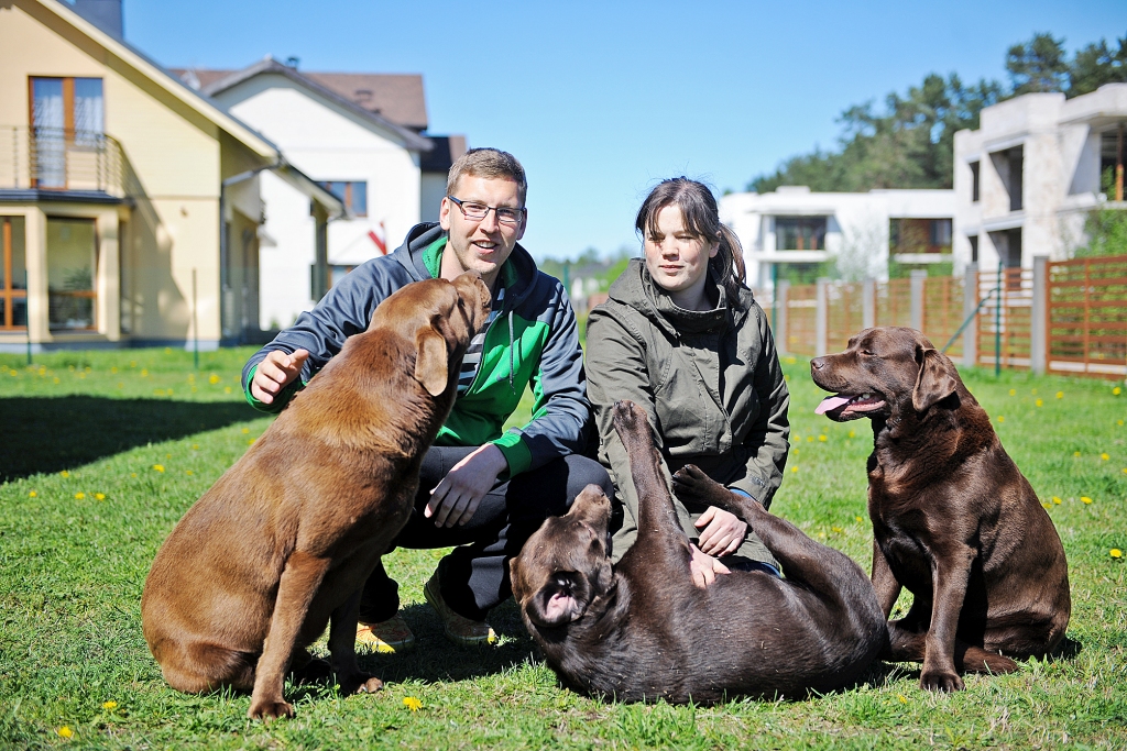 Trīs labradori ir trīsreiz vairāk laimes