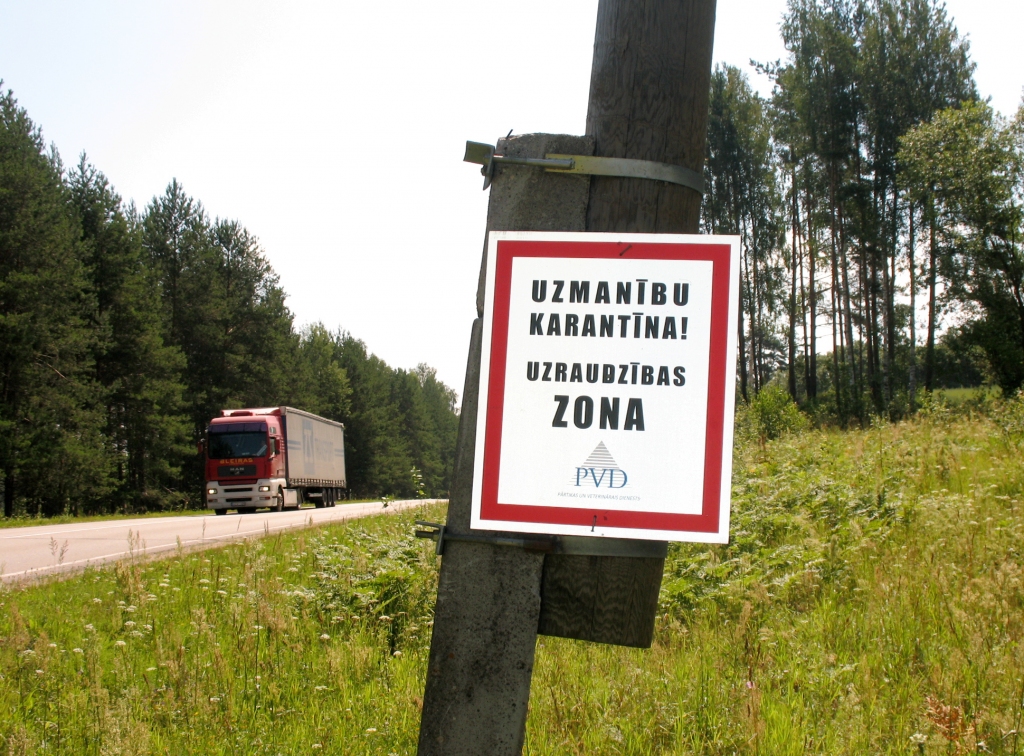 Ciblas novadā piecām mājas cūkām konstatēts ĀCM